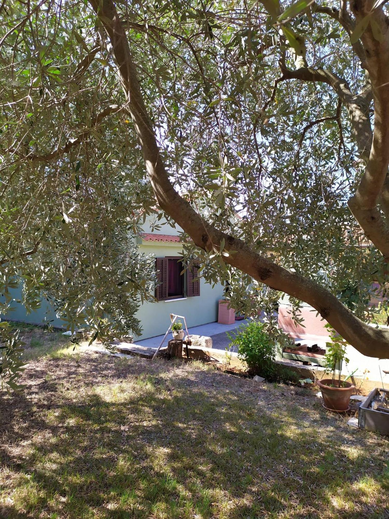 Apartmani Tara Medulin Kültér fotó